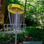 Disc golf.