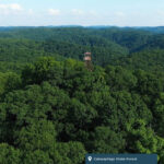 A fire tower sits in the mountains at Cabwaylingo State Forest.