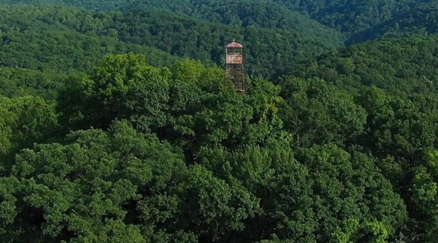 A fire tower sits in the mountains at Cabwaylingo State Forest.