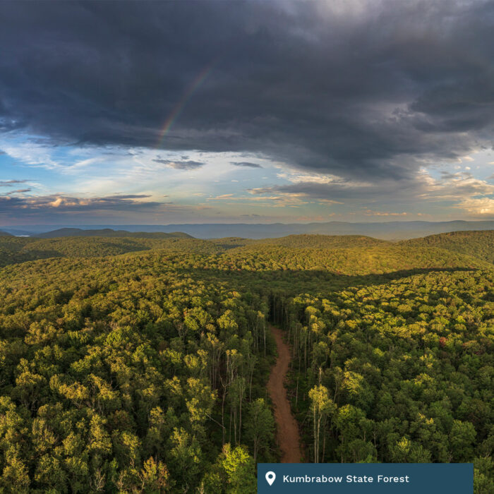An aerial view of Kumbrabow State Forest. A trail is encaptured around a sea of trees. The sky is cloudy and large.