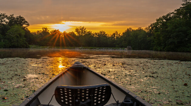 Point of view from a kayak in the water at sunset at Cacapon Resort State Park.