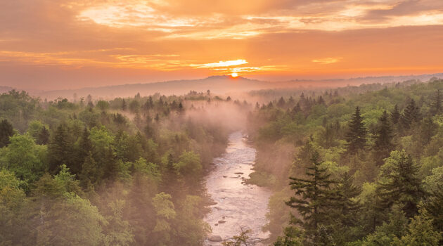 Early morning fog and sunrise sits along Blackwater Falls State Park.