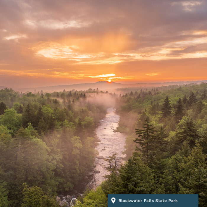 Early morning fog and sunrise sits along Blackwater Falls State Park.