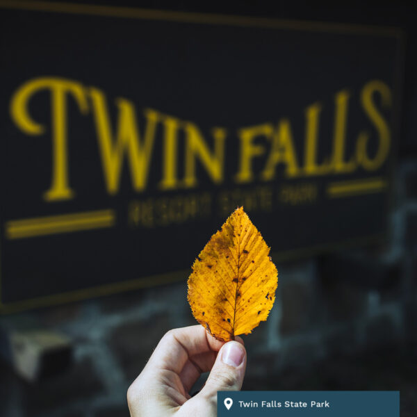 Twin Falls State Park