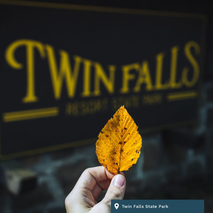 Twin Falls State Park
