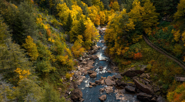 Blackwater Falls State Park