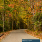 A wooded road at Watoga State Park