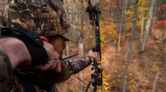 An archer in a tree stand pulls back on the first day of Bow Season