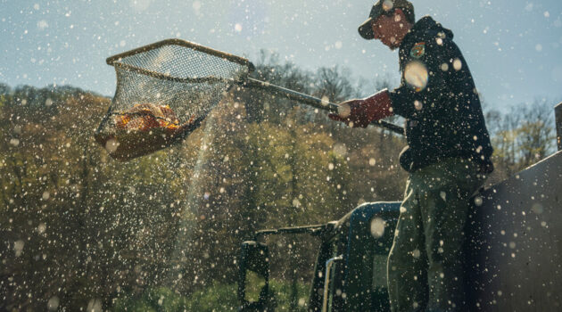A man with a net stocks fish into a body of water.