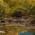 A creekbed in Putnam County, WV