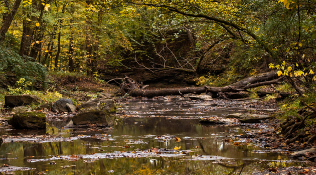A creekbed in Putnam County, WV