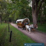 A covered wagon with horses does a tour of Blennerhassett Island Historical State Park