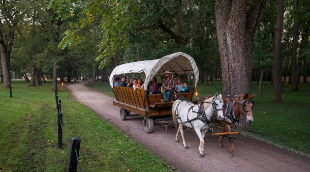 A covered wagon with horses does a tour of Blennerhassett Island Historical State Park
