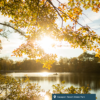 Cacapon Resort State Park