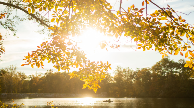 Cacapon Resort State Park
