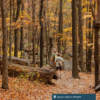 A man and woman enjoy a scenic hike.