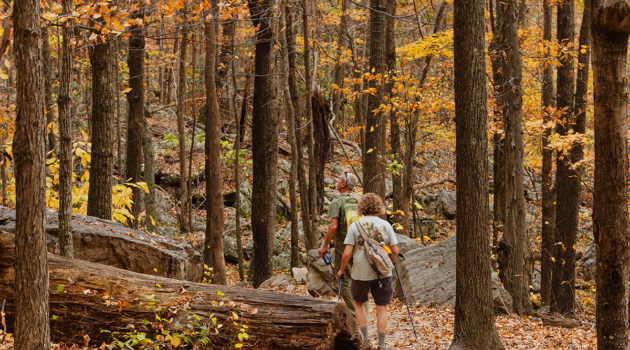 A man and woman enjoy a scenic hike.